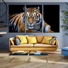 Load image into Gallery viewer, tiger sitting canvas wall art tiger front 3 piece canvas print orange white tiger looking canvas set For Living Room
