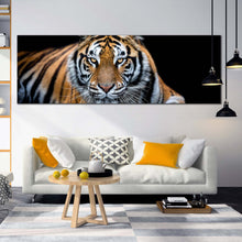 Load image into Gallery viewer, tiger  wildlife  canvas  wall  art  orange  white  tiger  close  up  canvas  print  tiger  portrait  1  piece  canvas  artwork In Living Room
