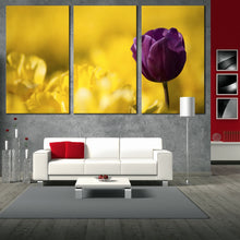 Load image into Gallery viewer, triptych Purple Tulip flower close up with Yellow Background canvas print For Living Room
