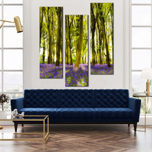 Load image into Gallery viewer, triptych  canvas  green  wood  with  a  mass  of  bluebells  with  sunbeams For Your Living Room
