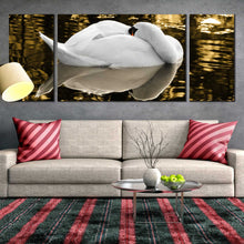 Load image into Gallery viewer, white swan resting 3 panel canvas print For Living Room
