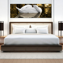 Load image into Gallery viewer, white  swan  sleeping  with  its  head  hidden  beneath  its  wings  canvas  wall  art In Bedroom
