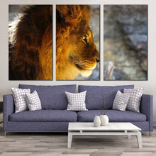 Load image into Gallery viewer, wild cat canvas wall art yellow orange lion profile 3 piece canvas print lion head canvas set In Living Room
