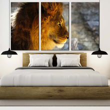 Load image into Gallery viewer, wild cat canvas wall art yellow orange lion profile 3 piece canvas print lion head canvas set For Bedroom
