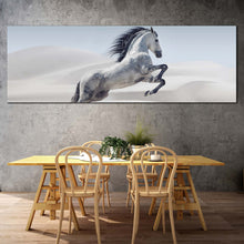 Load image into Gallery viewer, wild  horse  canvas  wall  art  white  horse  in  white  dust  panoramic  canvas  print  grey  horse  in  air  canvas  artwork In Living Room
