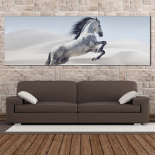 Load image into Gallery viewer, wild  horse  canvas  wall  art  white  horse  in  white  dust  panoramic  canvas  print  grey  horse  in  air  canvas  artwork For Living Room
