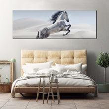 Load image into Gallery viewer, wild  horse  canvas  wall  art  white  horse  in  white  dust  panoramic  canvas  print  grey  horse  in  air  canvas  artwork For Bedroom

