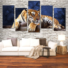 Load image into Gallery viewer, wild cat tiger resting staring at me multi panel wall art In Living Room
