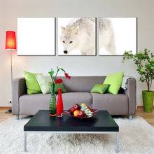 Load image into Gallery viewer, wolf  snow  canvas  wall  art  wolf  front  canvas  set  isolated  white  wolf  3  piece  canvas  print In Living Room
