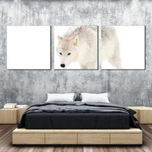 Load image into Gallery viewer, wolf  snow  canvas  wall  art  wolf  front  canvas  set  isolated  white  wolf  3  piece  canvas  print For Bedroom
