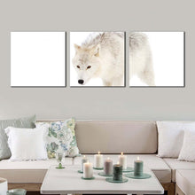 Load image into Gallery viewer, wolf  snow  canvas  wall  art  wolf  front  canvas  set  isolated  white  wolf  3  piece  canvas  print For Living Room
