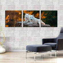 Load image into Gallery viewer, wolves  wildlife  canvas  wall  art  wolf  orange  nature  scenery  3  piece  canvas  print  white  wolves  triptych  multi  canvas In Living Room
