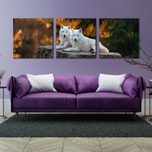 Load image into Gallery viewer, wolves  wildlife  canvas  wall  art  wolf  orange  nature  scenery  3  piece  canvas  print  white  wolves  triptych  multi  canvas For Living Room
